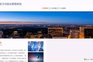 基于SpringBoot Vue大学生实习与就业管理系统